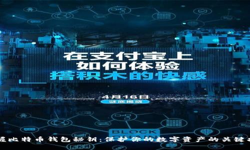 掌握比特币钱包秘钥:保护你的数字资产的关键指南