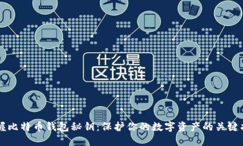 掌握比特币钱包秘钥:保护你的数字资产的关键指南