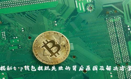 揭秘t p钱包提现失败的背后原因及解决方案