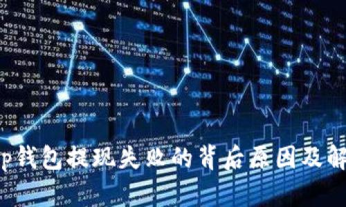 揭秘t p钱包提现失败的背后原因及解决方案
