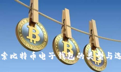 深入探索比特币电子钱包的类型与选择指南