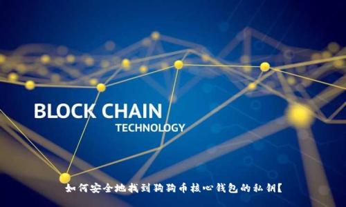 如何安全地找到狗狗币核心钱包的私钥?