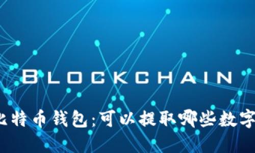 探索比特币钱包:可以提取哪些数字货币?