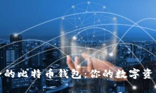 选择最安全的比特币钱包:你的数字资产保护指南