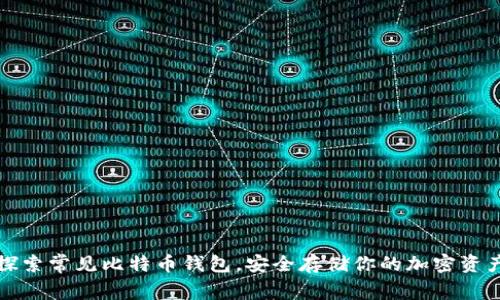 探索常见比特币钱包,安全存储你的加密资产