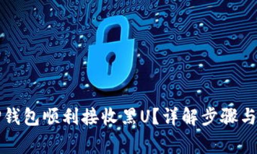 如何让TP钱包顺利接收黑U?详解步骤与注意事项