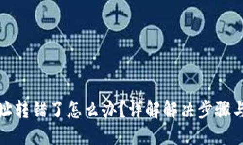 TP钱包地址转错了怎么办?详解解决步骤与实用建议